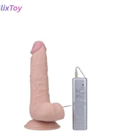 remote-control-butt-plug-set-toys